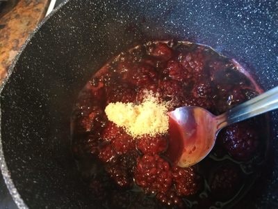 Stir and bring to boil on medium heat Blackberry Jelly Sauce