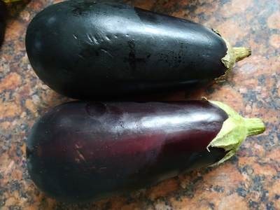 Wash and peel 2 Eggplants Beef & Eggplant Lasagne