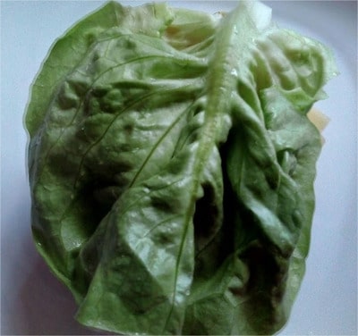 Add lettuce leaf Flat Mushrooms Beef Burger
