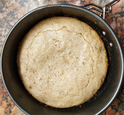 Release the springform and take the cake sponge out and cut into two layers by placing one hand on top Special Walnut, Coffee and Cognac Mini Cake